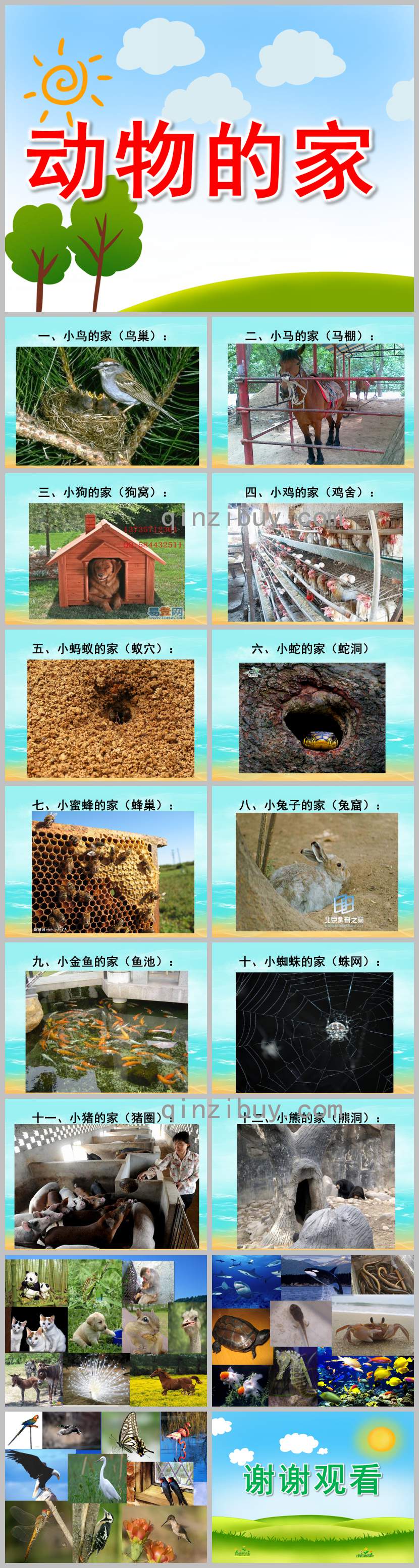 托班動物的家PPT課件教案