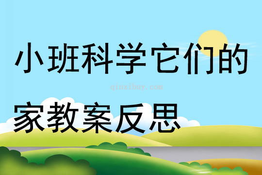 小班科學它們的家教案反思