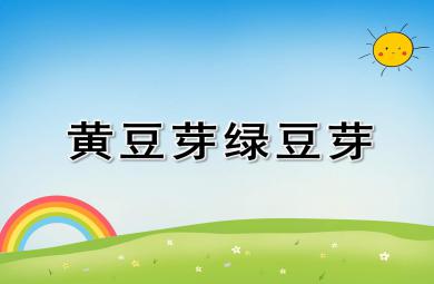 中班健康課件黃豆芽綠豆芽PPT課件教案