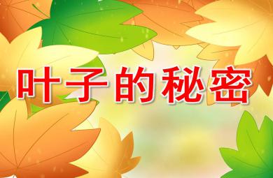 中班科學(xué)活動(dòng)葉子的秘密PPT課件教案