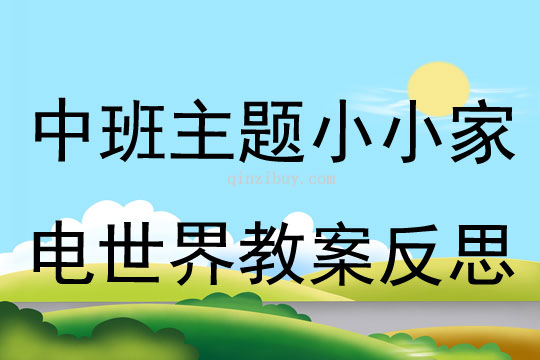 中班主題小小家電世界教案反思