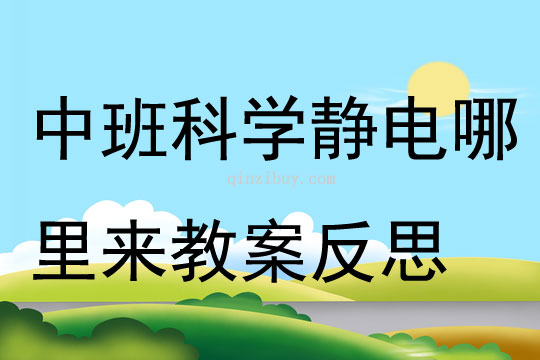 中班科學(xué)靜電哪里來(lái)教案反思