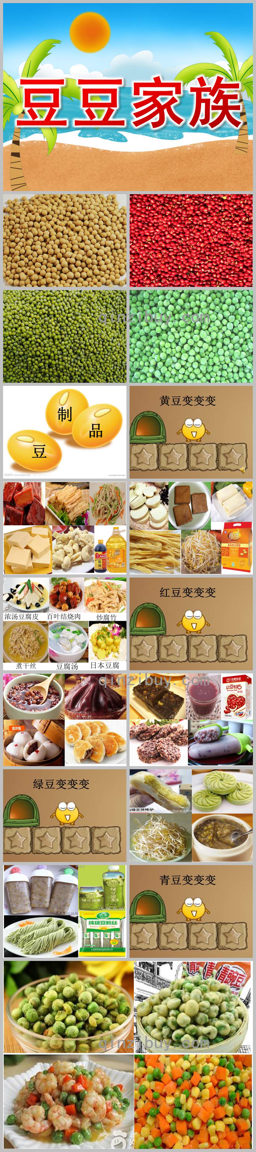 大班科學(xué)課件豆豆家族PPT課件教案