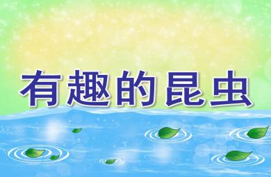 有趣的昆蟲簡介展示PPT課件教案圖片