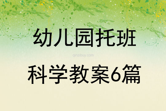 幼兒園托班科學(xué)教案6篇