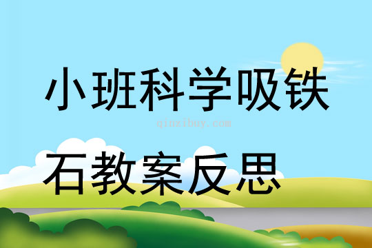 小班科學(xué)吸鐵石教案反思