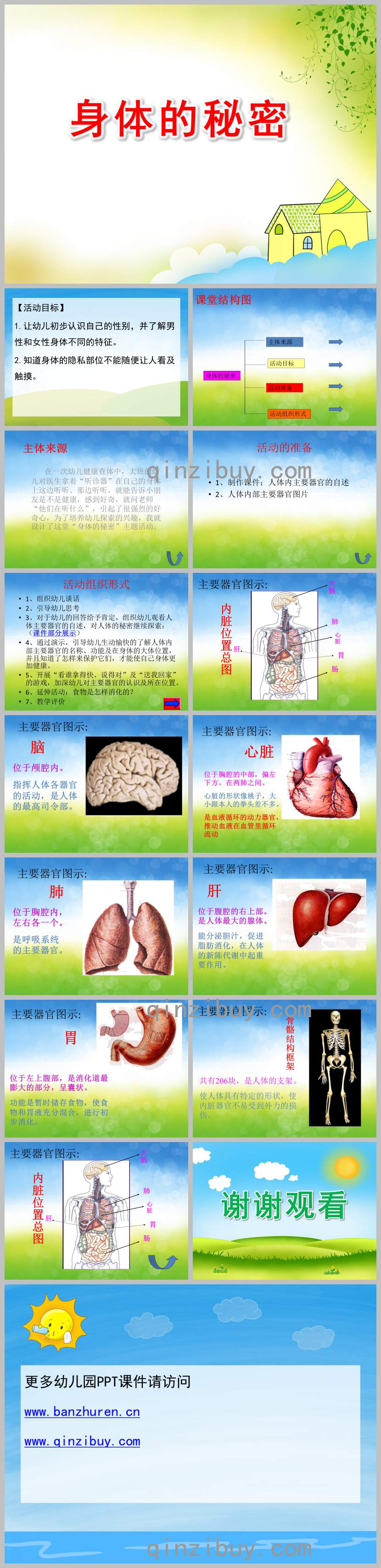 小班健康身體的秘密PPT課件教案