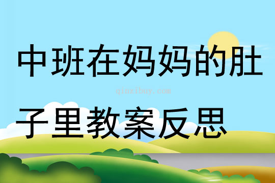 中班社會在媽媽的肚子里教案反思
