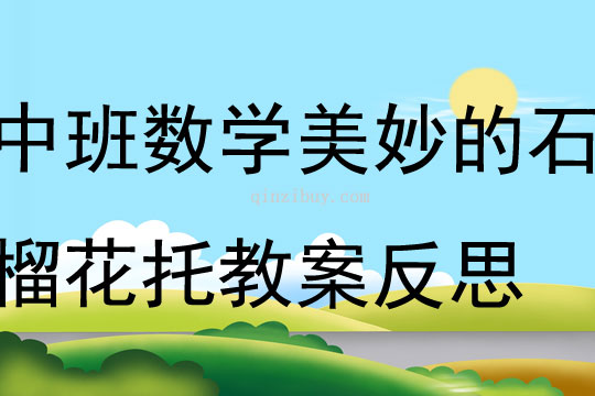中班數(shù)學(xué)美妙的石榴花托教案反思