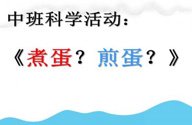 中班科學(xué)故事優(yōu)質(zhì)課煎蛋煮蛋PPT課件教案