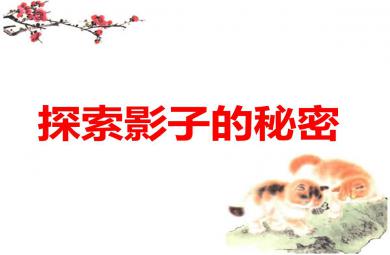 大班科學探索影子的秘密PPT課件教案