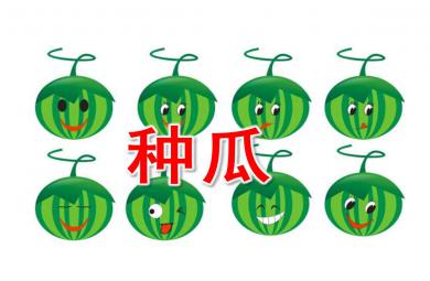 小班音樂種瓜PPT課件教案