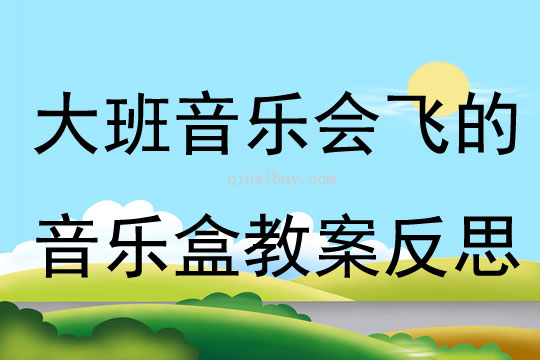 大班音樂會飛的音樂盒教案反思
