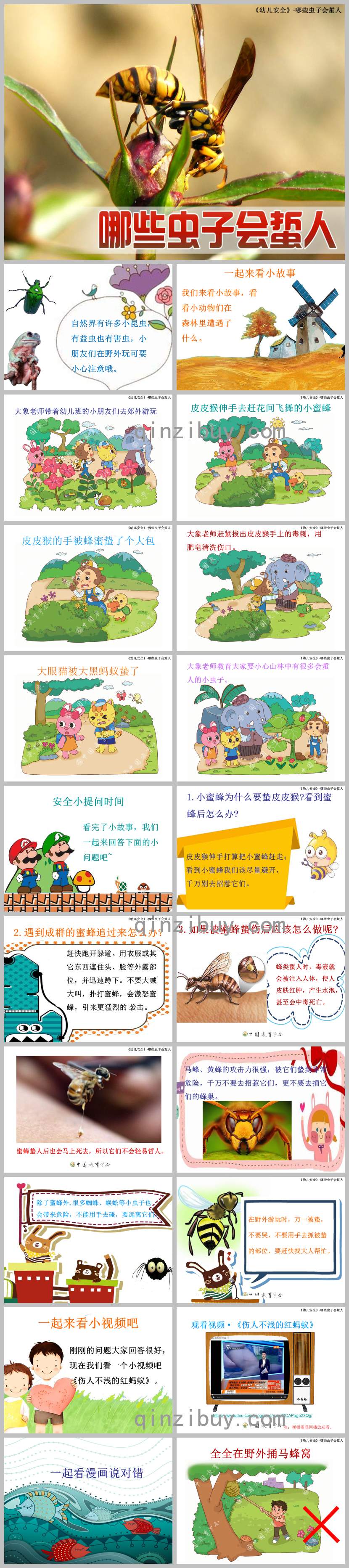 哪些蟲子會蜇人PPT課件教案圖片