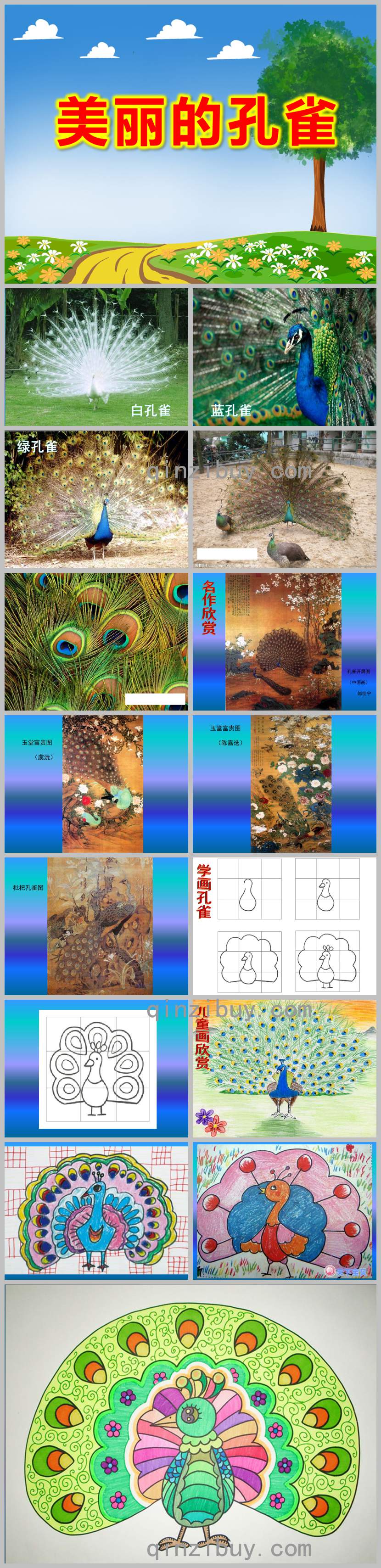 中班美術拓印課件美麗的孔雀PPT課件教案
