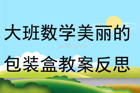 大班數(shù)學(xué)美麗的包裝盒教案反思