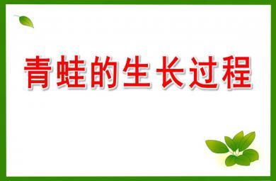 大班科學課件青蛙的生長PPT課件教案