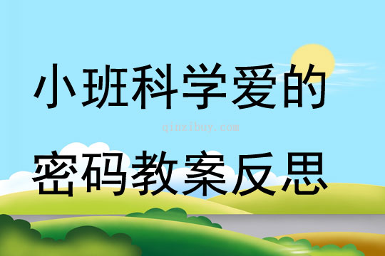 小班科學愛的密碼教案反思