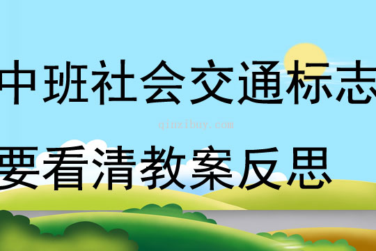中班社會交通標志要看清教案反思