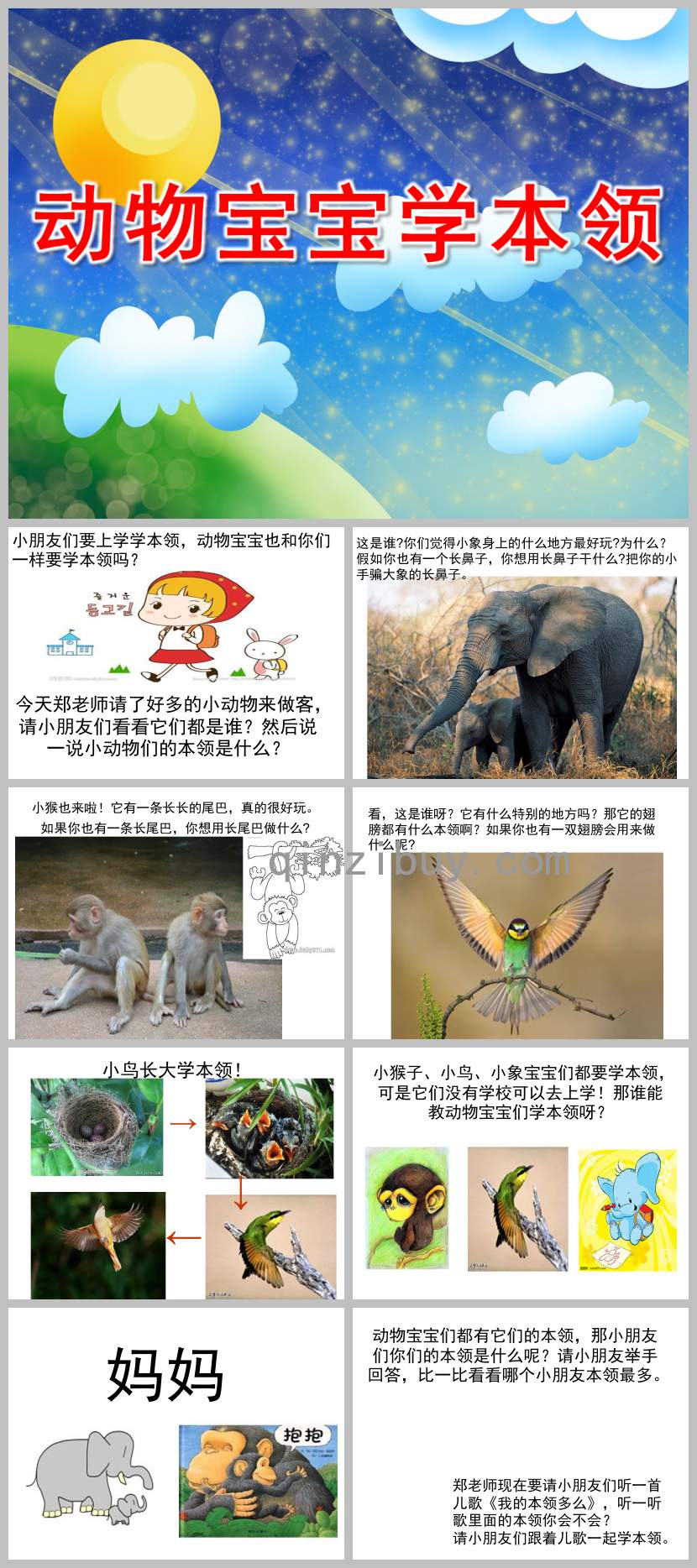 大班動物寶寶學本領PPT課件教案
