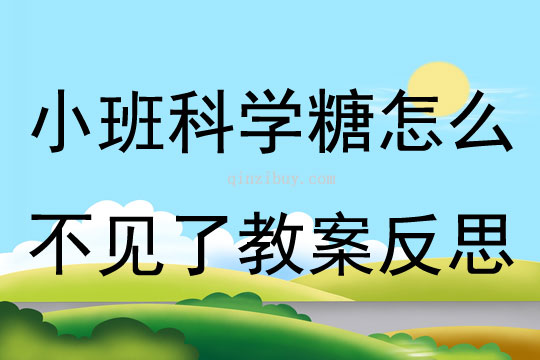 小班科學優質課糖怎么不見了教案反思