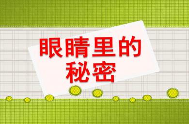 眼睛的秘密PPT課件教案圖片