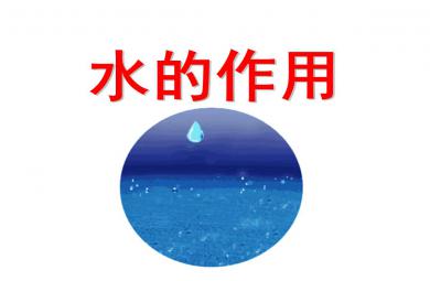 幼兒園中班健康水的作用PPT課件教案