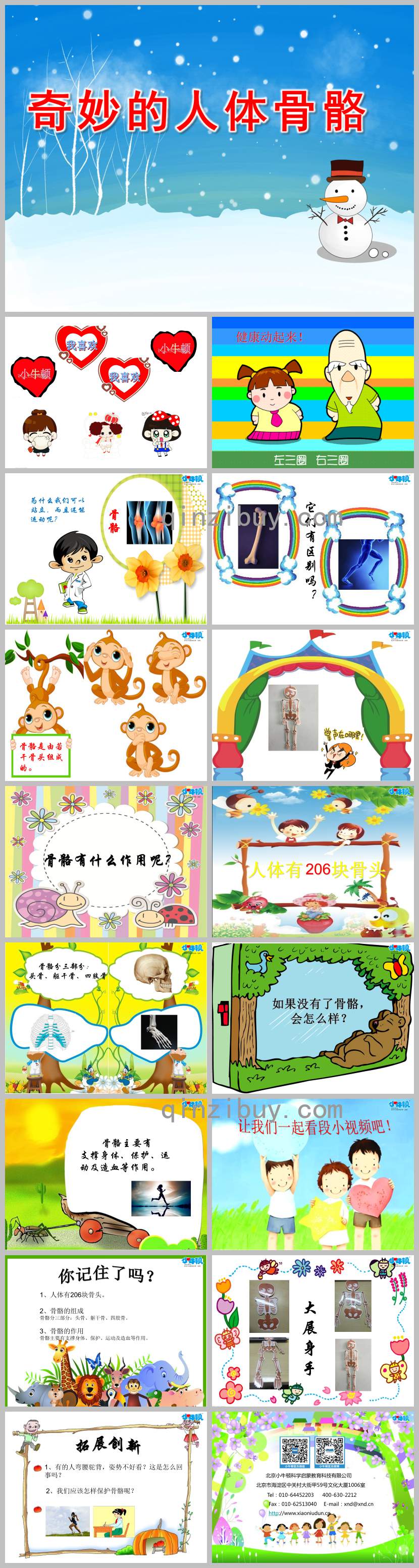 中班健康奇妙的人體骨骼PPT課件教案