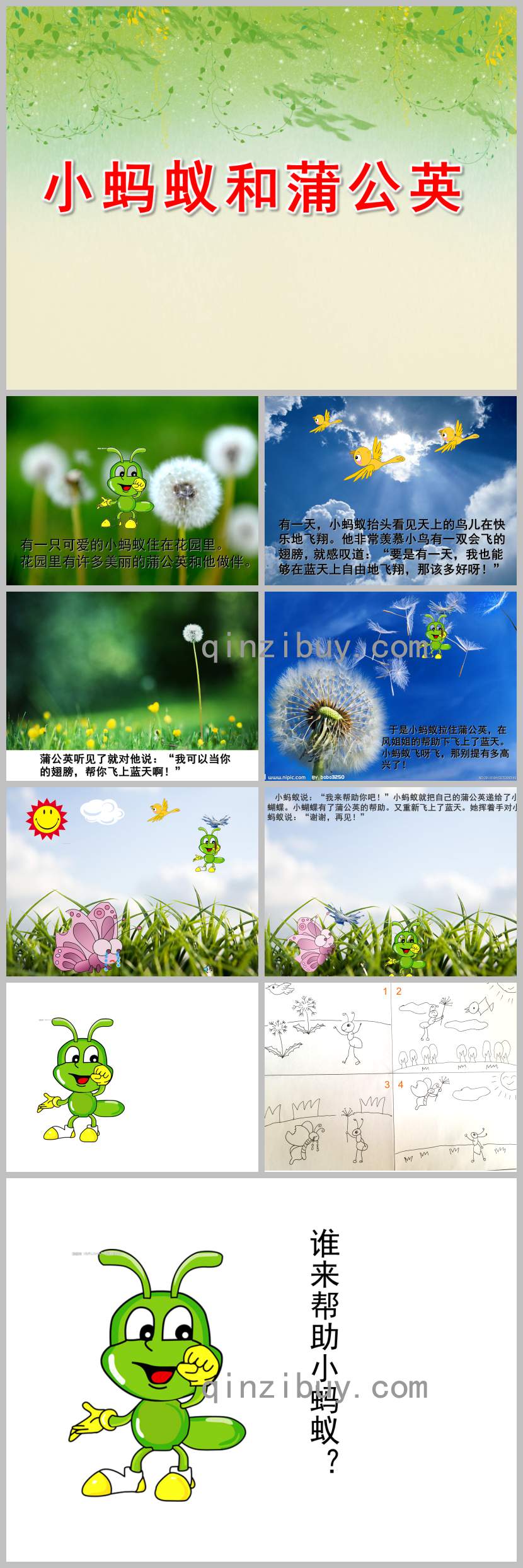 中班語言小螞蟻和蒲公英PPT課件教案