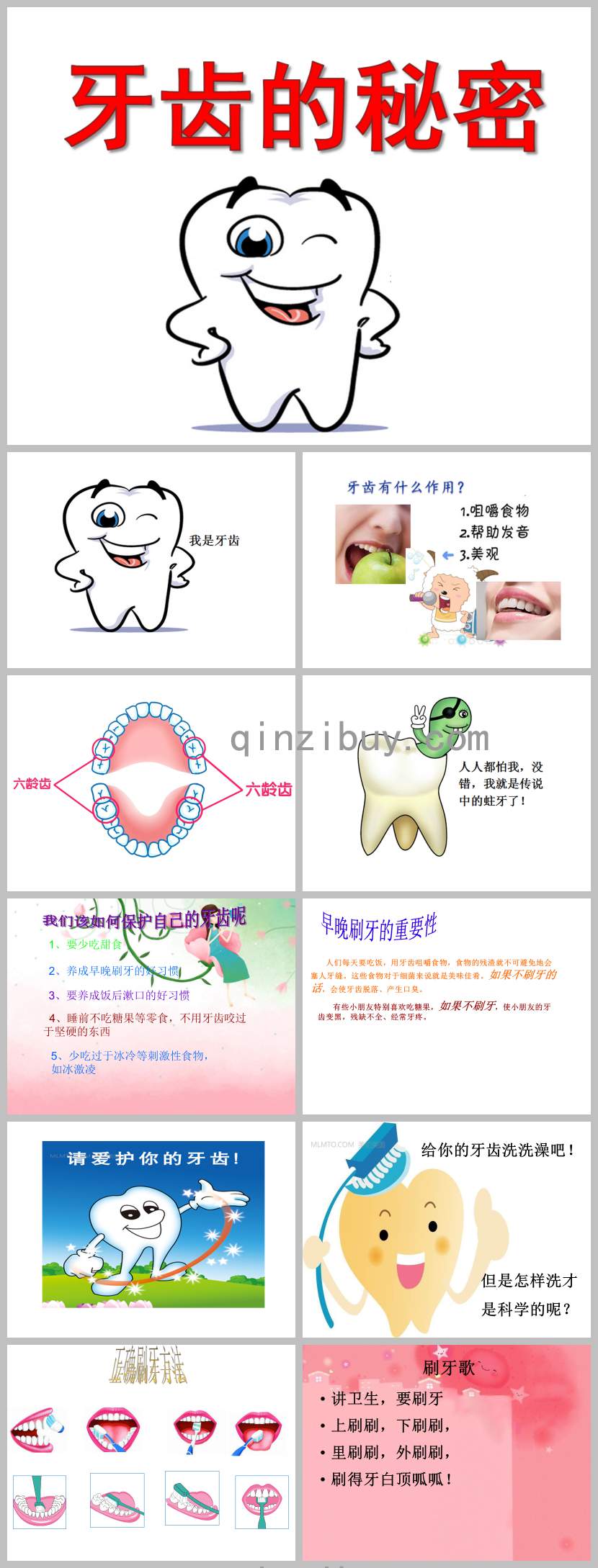 牙齒的秘密PPT課件教案圖片