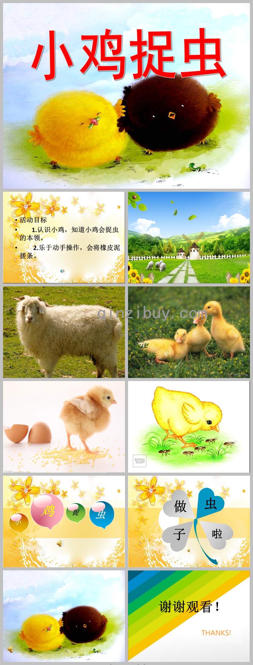 小班美術(shù)小雞捉蟲(chóng)PPT課件教案圖片