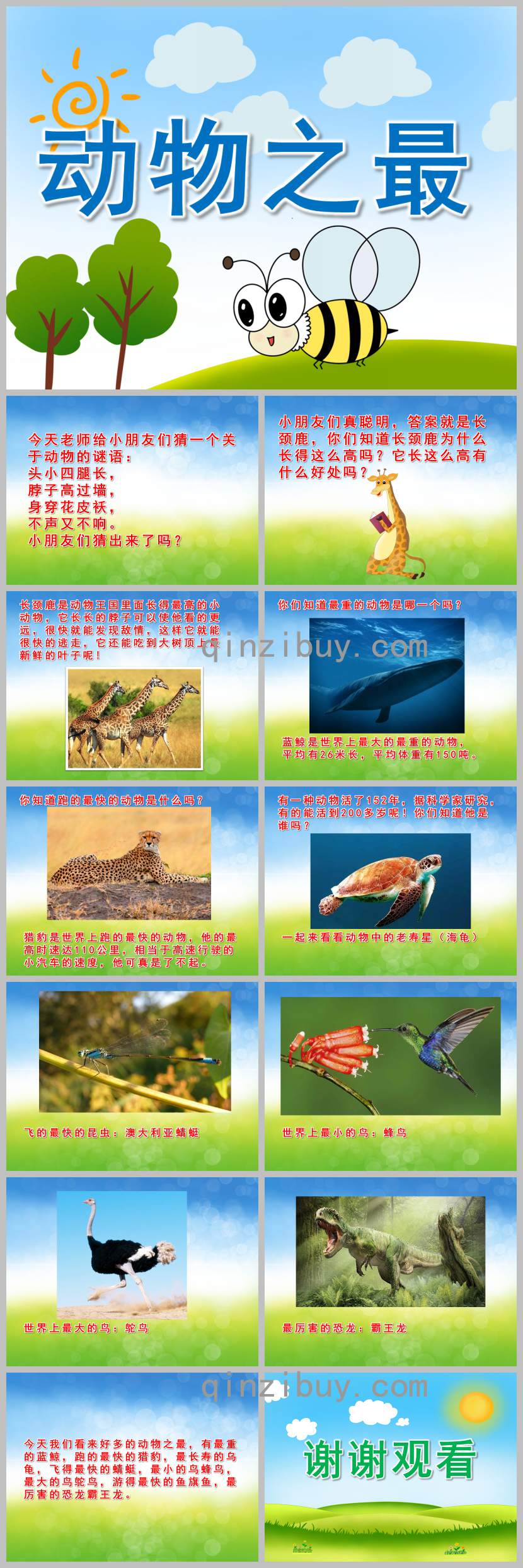 小班動物之最PPT課件教案