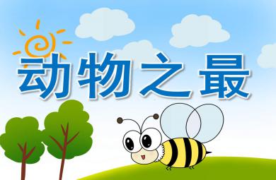 小班動物之最PPT課件教案
