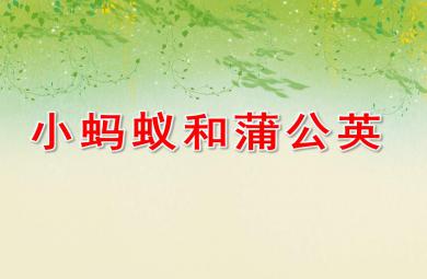 中班語(yǔ)言小螞蟻和蒲公英PPT課件教案