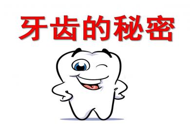 牙齒的秘密PPT課件教案圖片