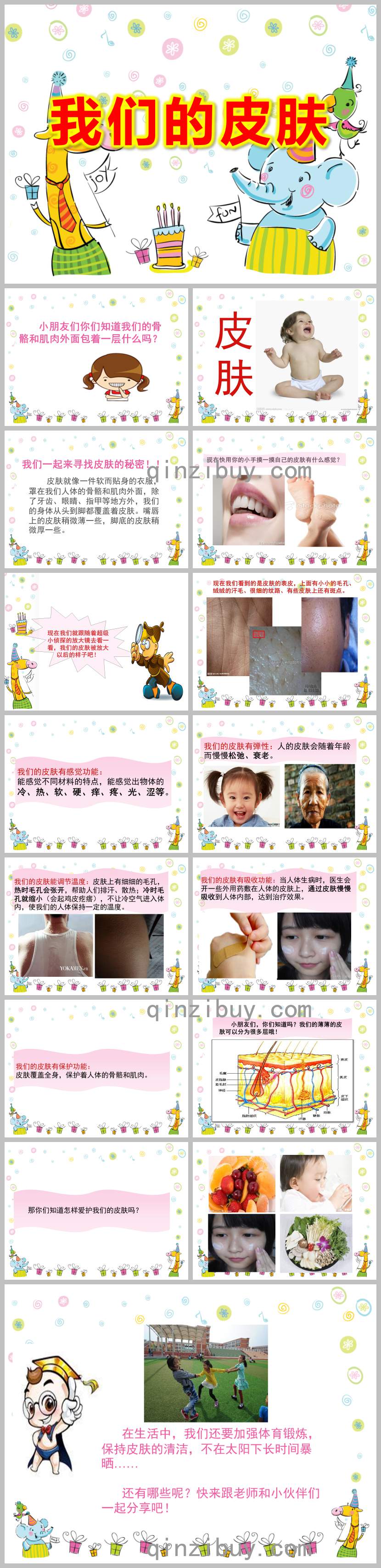 我們的皮膚PPT課件教案圖片