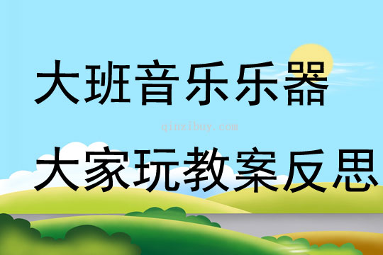 大班音樂樂器大家玩教案反思