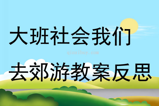 大班社會我們去郊游教案反思