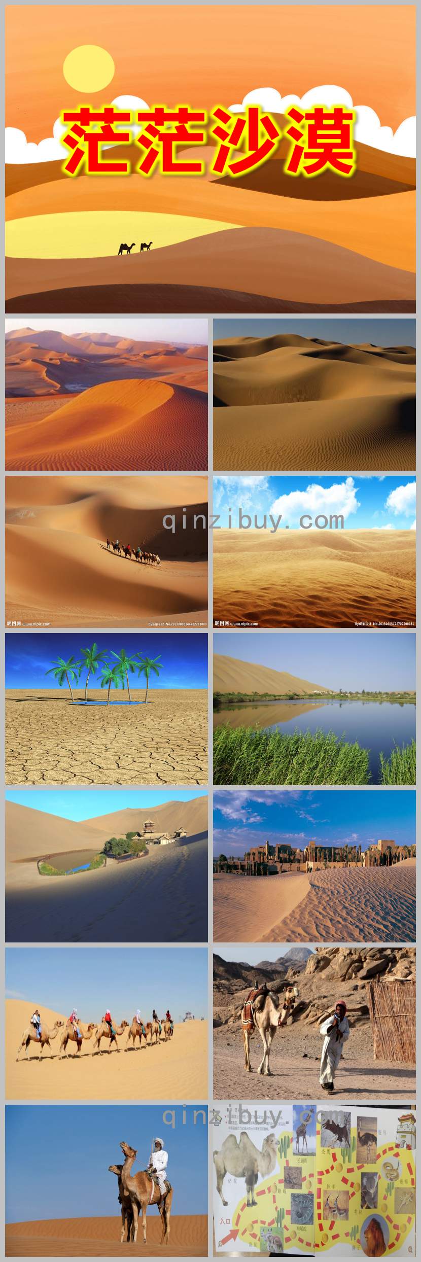 大班科學課件茫茫沙漠PPT課件教案