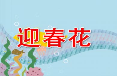 迎春花PPT課件教案圖片