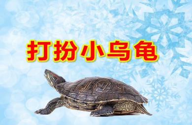 打扮小烏龜PPT課件教案圖片