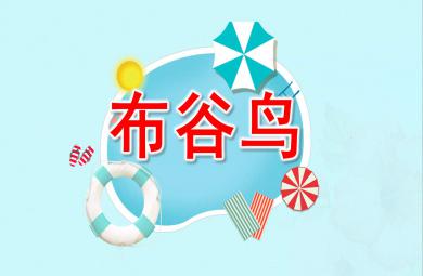 幼兒園布谷鳥PPT課件教案