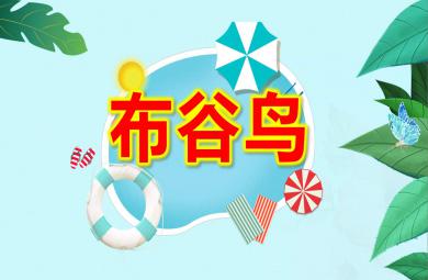 布谷鳥PPT課件教案圖片
