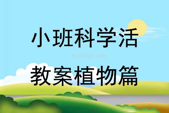 小班科學活教案植物篇