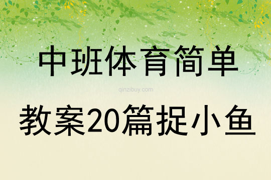 中班體育簡單教案20篇捉小魚