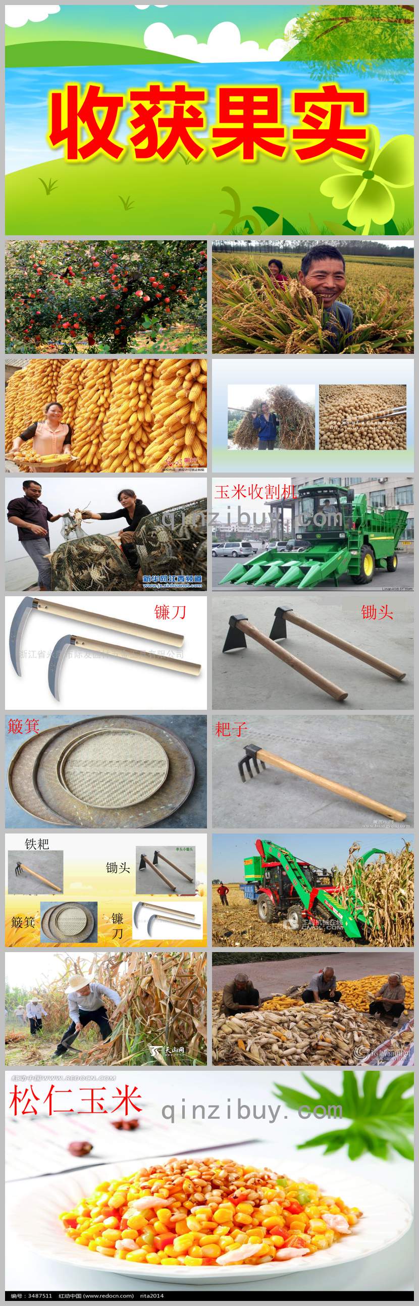 收獲果實PPT課件圖片