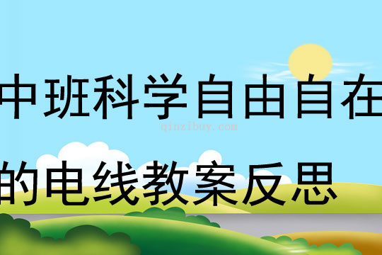 中班科學自由自在的電線教案反思