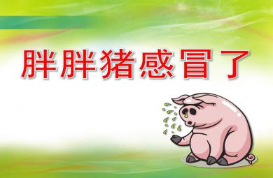 胖胖豬感冒了PPT課件教案高清圖片