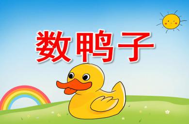 數鴨子PPT課件教案圖片