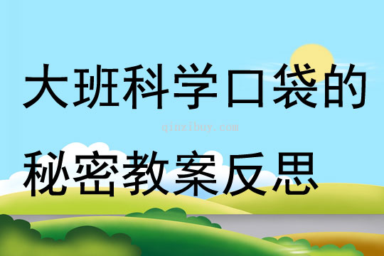 大班科學口袋的秘密教案反思